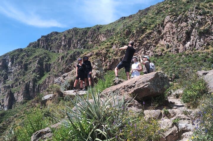 2-Day Colca Canyon Trek: Cruz del Condor to Sangalle Oasis photo 2