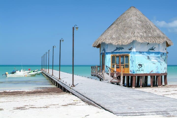 Holbox Paradise Experience: Beaches, Wildlife and Local Culture on Isla Holbox photo 2