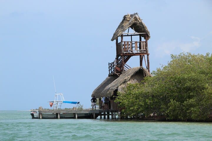 Holbox Paradise Experience: Beaches, Wildlife and Local Culture on Isla Holbox photo 4