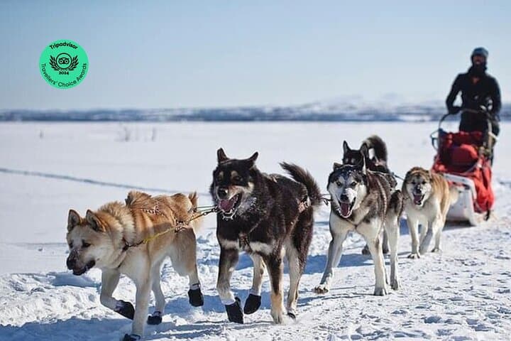 Explore Yellowstone’s Winter Wonderland: A 6-Day Guided Adventure