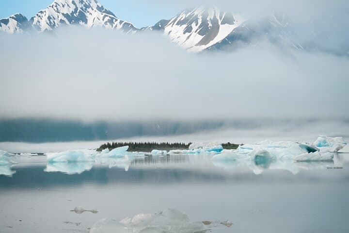 Bear Glacier Helicopter Tour and Beach Landing — Seward Kenai Fjords