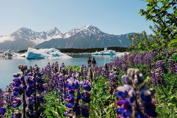 Bear Glacier Helicopter Tour and Beach Landing — Seward Kenai Fjords photo 2