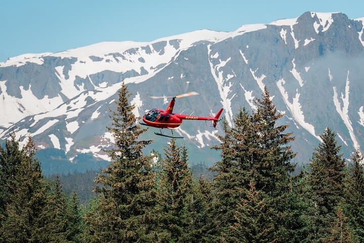 Bear Glacier Helicopter Tour and Beach Landing — Seward Kenai Fjords photo 3