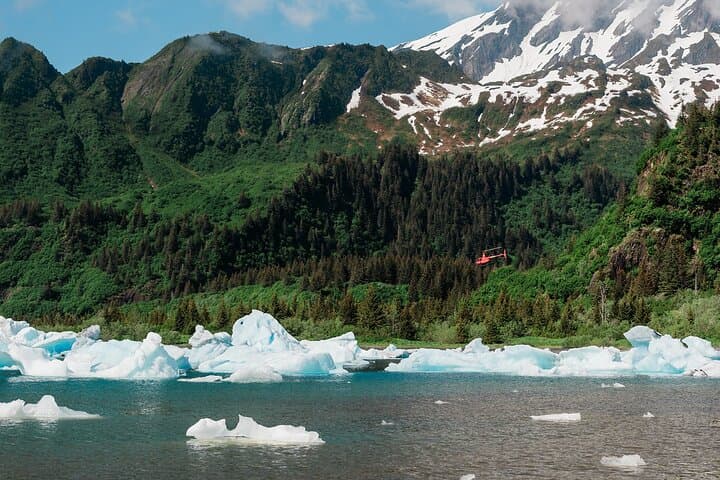 Bear Glacier Helicopter Tour and Beach Landing — Seward Kenai Fjords photo 5