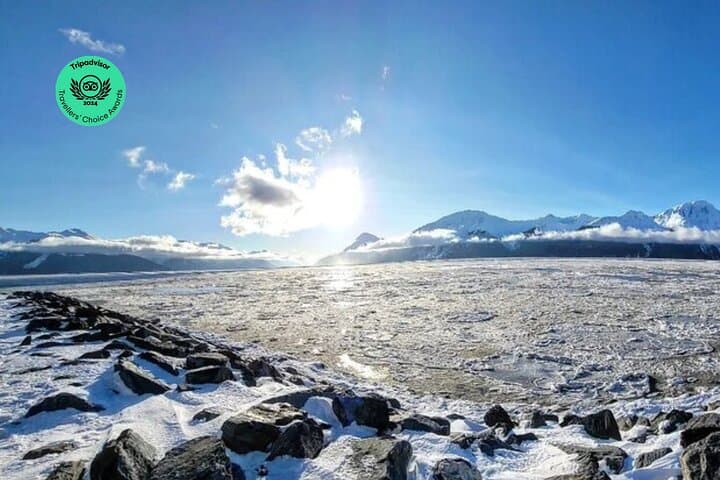 4-Day Seward Camping Adventure from Anchorage — Sea Kayak Exit Glacier & Kenai Wildlife