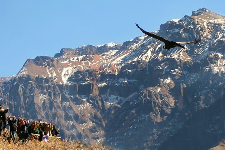 Colca Canyon Full-Day All-Inclusive Tour: Condors, Hot Springs & Andean Highs photo 1
