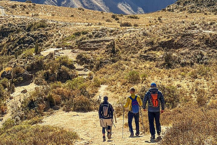 Colca Canyon Full-Day All-Inclusive Tour: Condors, Hot Springs & Andean Highs photo 3