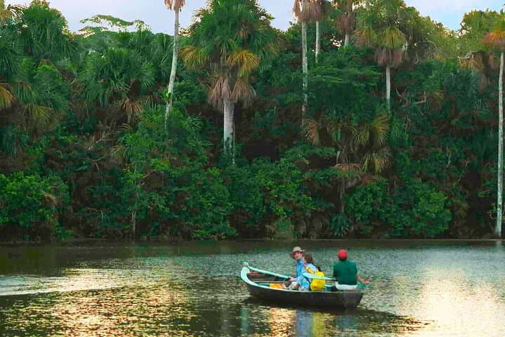 5-Day Amazon Expedition: Tambopata Reserve & Lake Sandoval Wildlife Safari photo 2