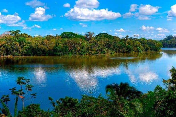 5-Day Amazon Expedition: Tambopata Reserve & Lake Sandoval Wildlife Safari photo 3