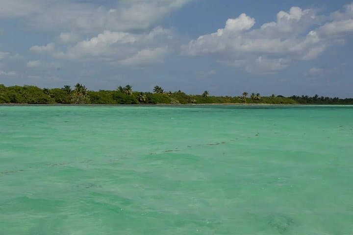 Sian Kaan Bike Tour & Crocodile Bridge Fishing from Tulum photo 2