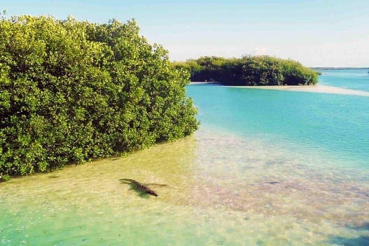 Sian Kaan Bike Tour & Crocodile Bridge Fishing from Tulum photo 3