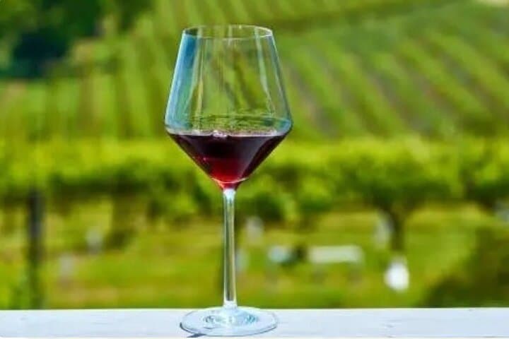 Private Chauffeured Napa Winery Tour: Personalized Six-Hour Wine Country Experience photo 5
