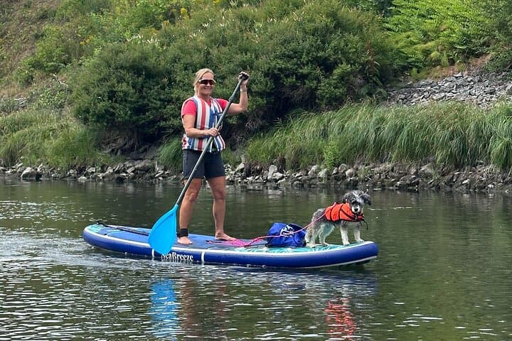 Beaver Safari by Stand‑Up Paddleboard in Hokksund photo 5