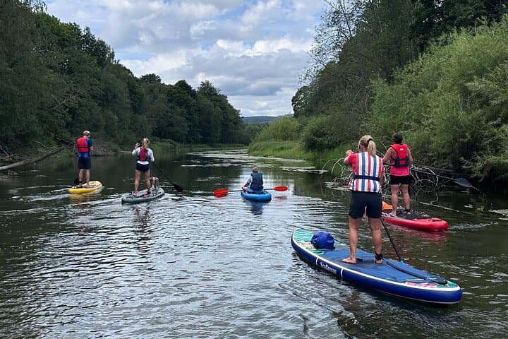 Beaver Safari by Stand‑Up Paddleboard in Hokksund photo 2