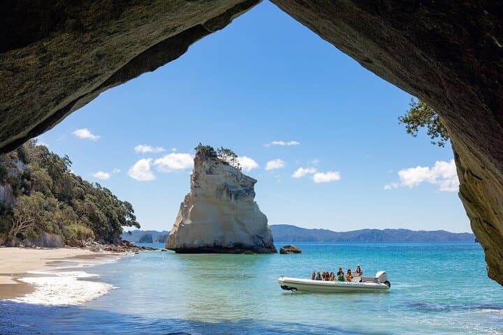 One-Hour Cathedral Cove Boat Tour from Hahei — Small-Group Marine Reserve Cruise photo 3