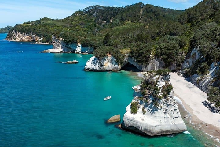 One-Hour Cathedral Cove Boat Tour from Hahei — Small-Group Marine Reserve Cruise photo 2