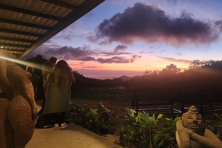 Monteverde Night Walk: Guided Nocturnal Wildlife Tour in the Cloud Forest photo 4