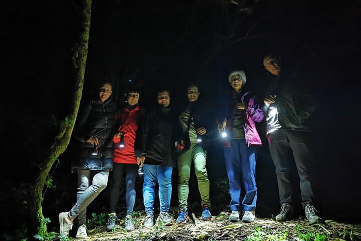 Monteverde Night Walk: Guided Nocturnal Wildlife Tour in the Cloud Forest photo 6