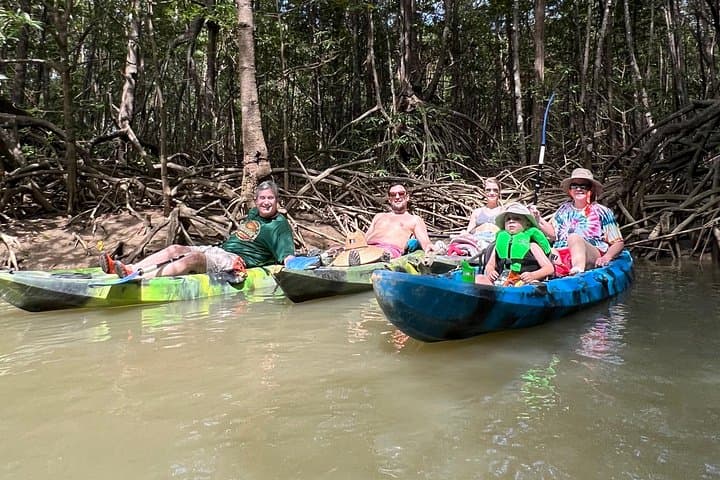 Quepos Mangrove Kayak Tour: Spot Monkeys, Sloths & Coastal Birds on a 2-Hour Guided Paddle photo 4