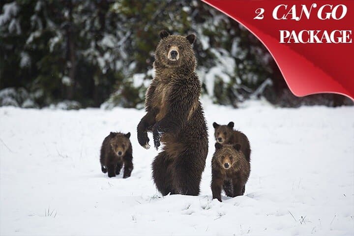 Yellowstone & Grand Teton Winter Tour: 5-Day Snowcoach, Snowshoe & Hot Springs Adventure