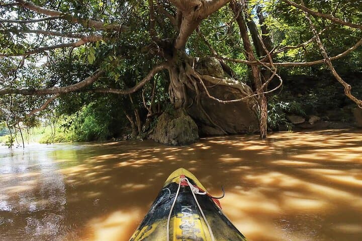 Leisure River Kayaking in Mae Taeng Forest Reserve — Half-Day from Chiang Mai photo 5