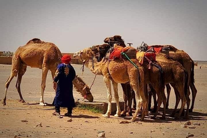 Marrakech to Merzouga: 3-Day Desert Safari to Erg Chebbi photo 4
