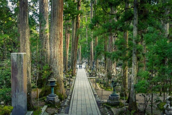 Nachi Waterfall & Mount Koya: Wakayama Self-Guided Highlights Tour photo 3