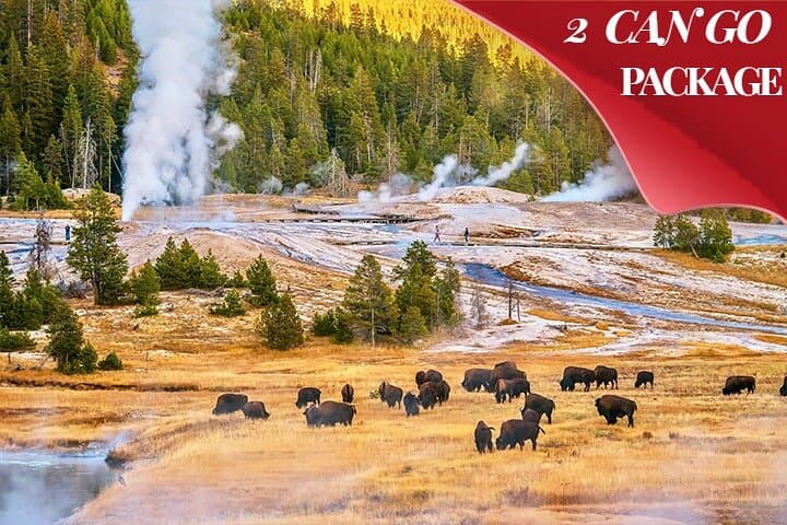3-Day Yellowstone & Grand Teton Small-Group Tour from Salt Lake City