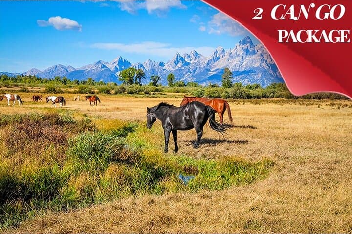 Explore Grand Teton, Yellowstone & Colorado Hot Springs: A 6-Day Adventure Tour