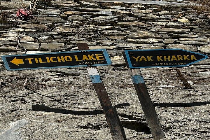 Tilicho & Gangapurna Lake Trek — 7-Day Private Annapurna High-Altitude Experience photo 4