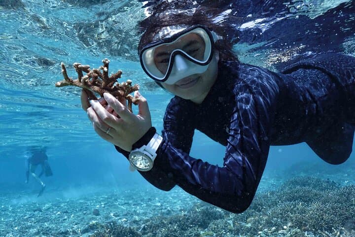 Nusa Penida Reef Rehabilitation Course & Snorkeling — Coral Planting Experience photo 2
