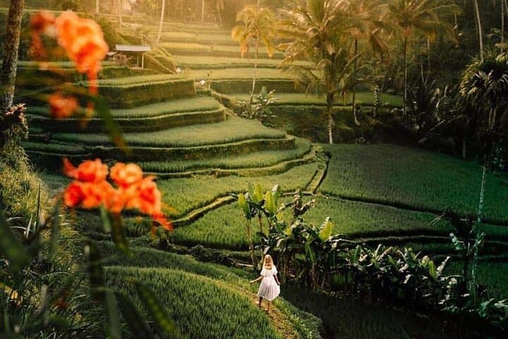 Ubud Waterfalls, Tirta Empul & Tegallalang Private Day Tour photo 6