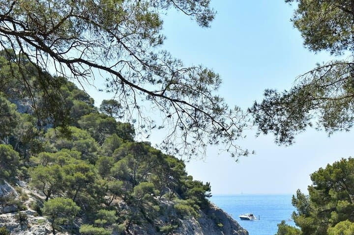 Private Day Trip from Monaco to Marseille, Cassis & Cap Canaille: Scenic Coastal Drive photo 5
