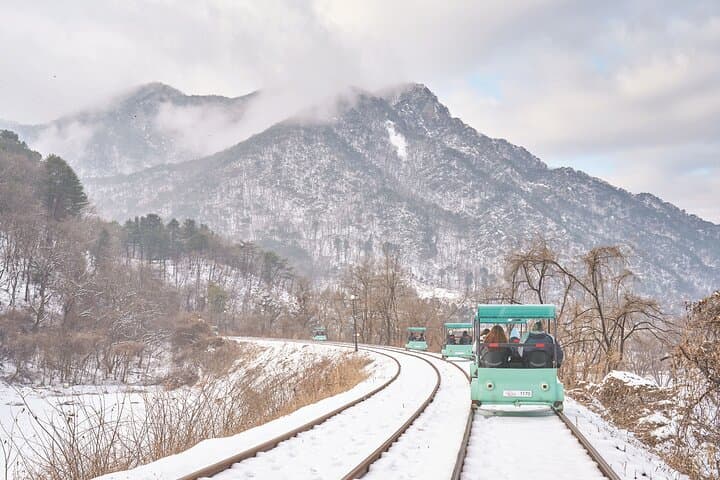 Winter Day Trip from Seoul: Nami Island, Gangchon Railbike & Petite France photo 3