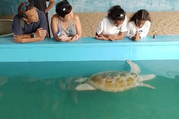 Galle Day Trip from Kalutara: Temples, Turtle Rescue & Madu River Safari photo 6