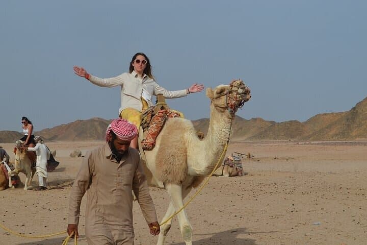 Camel Ride in Sharm El Sheikh: 1-Hour Desert Experience with Bedouin Guides photo 2
