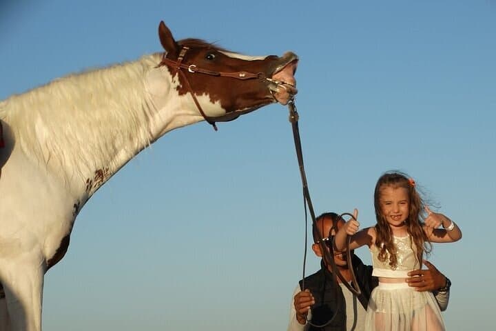 Sharm El Sheikh Desert Horse Ride: 1-Hour Guided Experience with Transfer photo 4