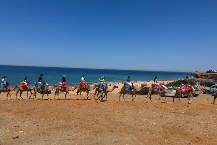 Full-Day Tangier Culture & Coast: Medina, Kasbah, Cap Spartel + Camel Ride photo 2