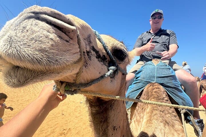 Full-Day Tangier Culture & Coast: Medina, Kasbah, Cap Spartel + Camel Ride photo 4