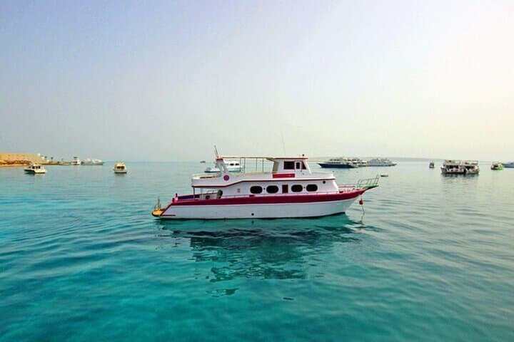 Red Sea Combo: Water Skiing and Glass-Bottom Boat in Sharm El Sheikh photo 5