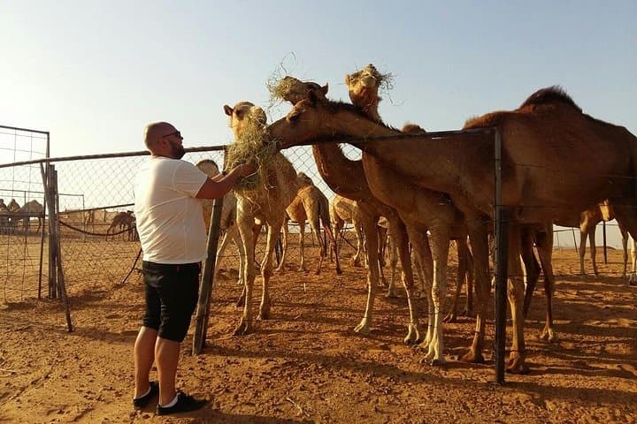 Private Dubai Desert Safari: Luxury Sunset Dune Bashing & Cultural Desert Camp photo 5