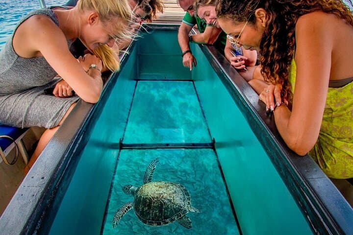 Red Sea Combo: Water Skiing and Glass-Bottom Boat in Sharm El Sheikh photo 4