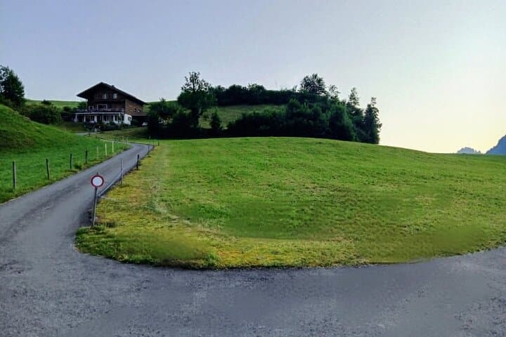 See It All: Private Burgenstock & Aare Gorge Scenic Tour (Lake Lucerne) photo 4