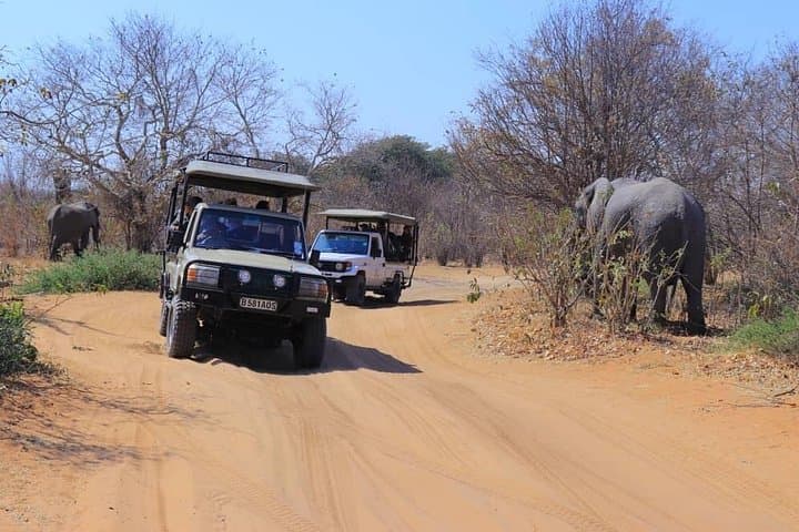 Chobe National Park Day Trip from Victoria Falls — Game Drive & Safari Cruise photo 1