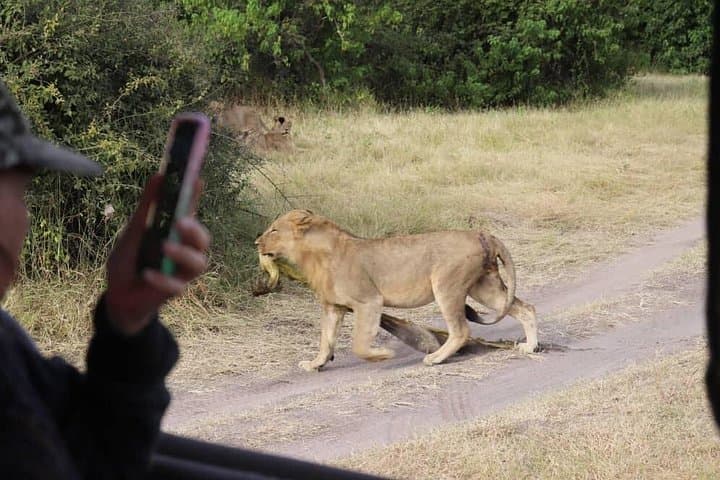 Chobe National Park Day Trip from Victoria Falls — Game Drive & Safari Cruise photo 2