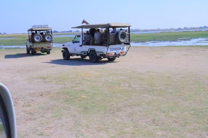 Chobe National Park Day Trip from Victoria Falls — Game Drive & Safari Cruise photo 4