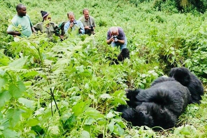 Best of Rwanda: 10-Day Safari for Gorillas, Chimps & Game Drives photo 3