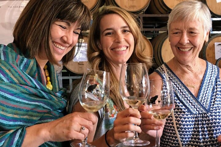 Carlsbad Wine Crawl and Small Bites Tour — Coastal Tasting Walk