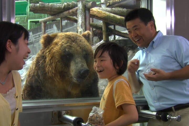 Noboribetsu Bear Park: Ropeway Views and Ezo Brown Bears in Hokkaido photo 3