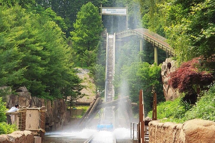 Everland Theme Park Admission Ticket — Guide to Rides, Zootopia & Practical Planning photo 4